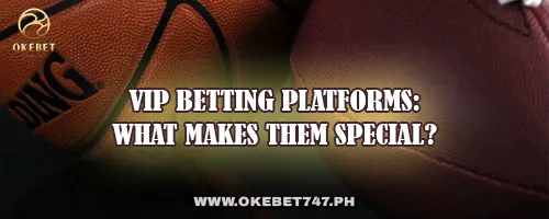 VIP Betting Platforms: What Makes Them Special?